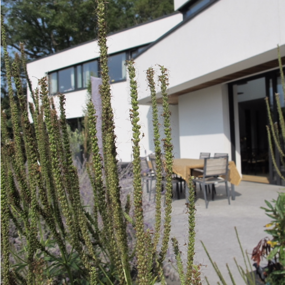 Capture d’écran 2025-01-28 à 14.53.49