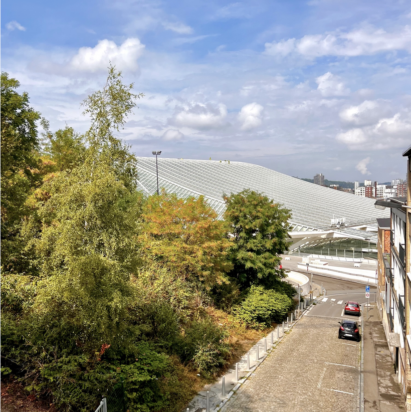 Capture d’écran 2025-01-29 à 14.54.34